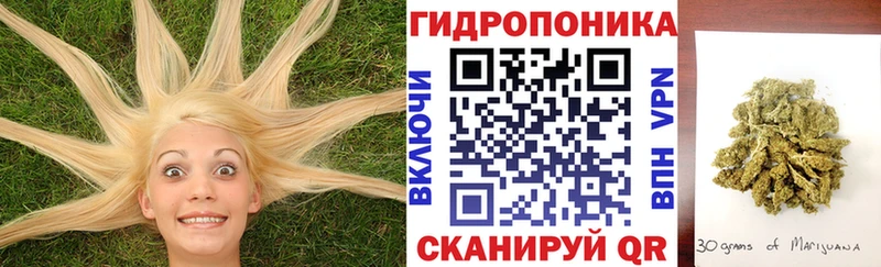 Марихуана MAZAR  маркетплейс Telegram  Звенигово  omg онион 